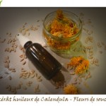 [DIY] Réaliser un macérât huileux de Calendula